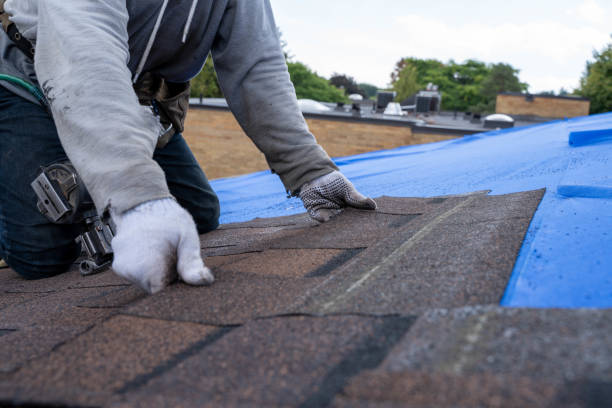 Best Residential Roofing Contractor  in Onarga, IL