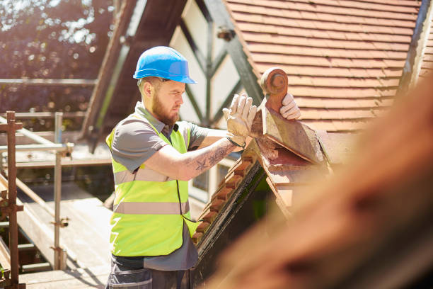 Best Metal Roofing Contractor  in Onarga, IL